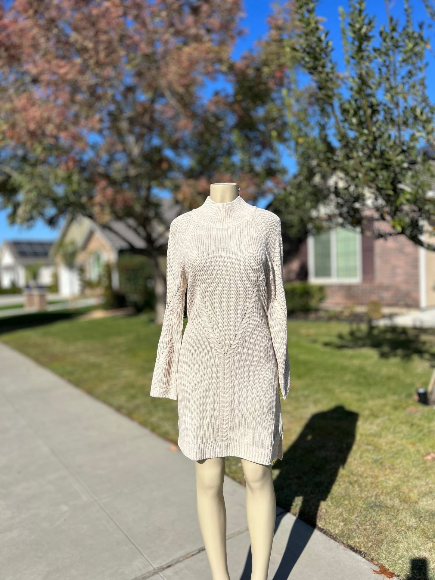 Sophia Knit Sweater Dress