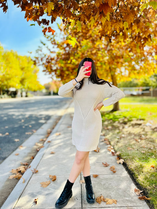Sophia Knit Sweater Dress