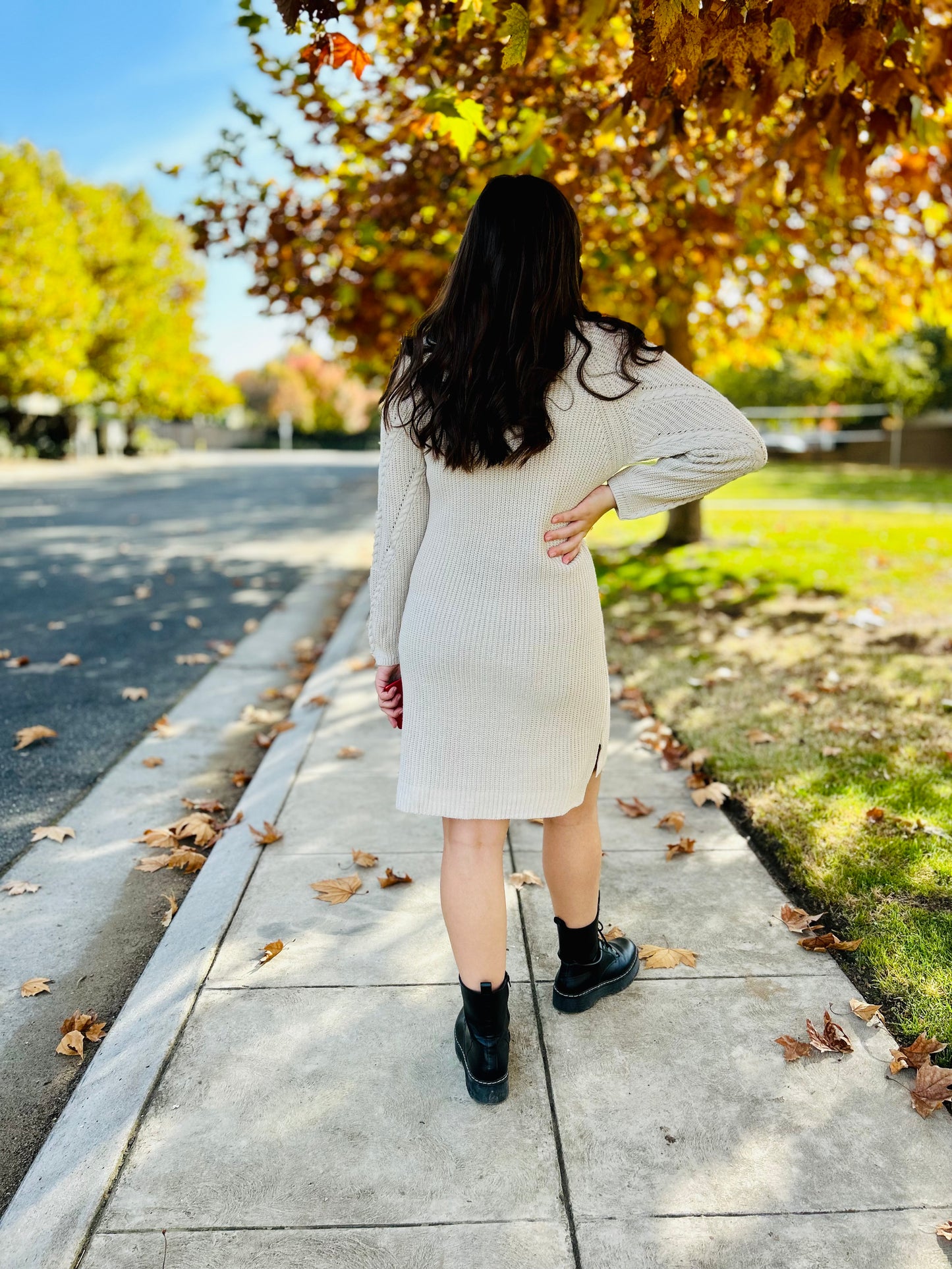Sophia Knit Sweater Dress