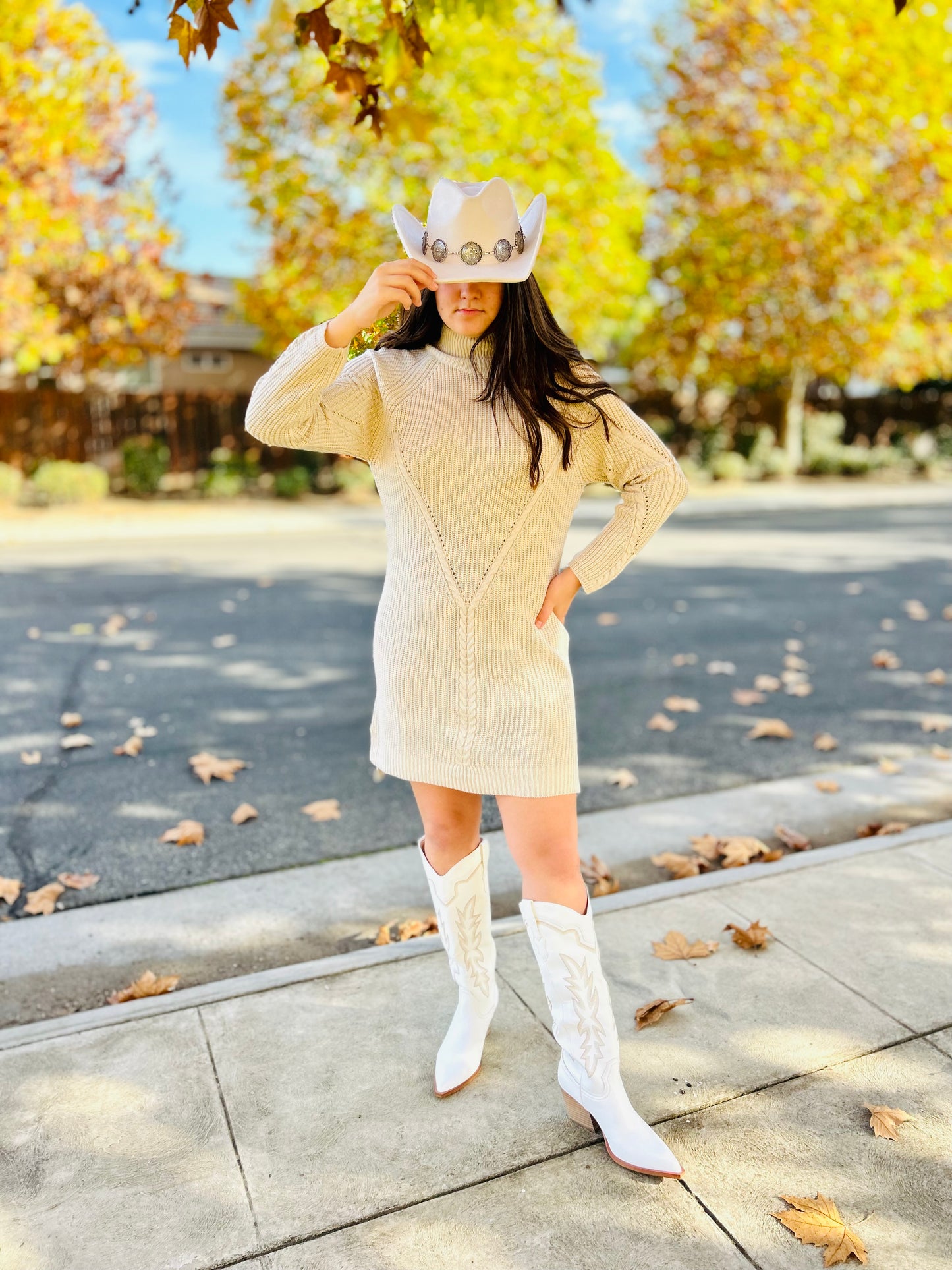 Sophia Knit Sweater Dress