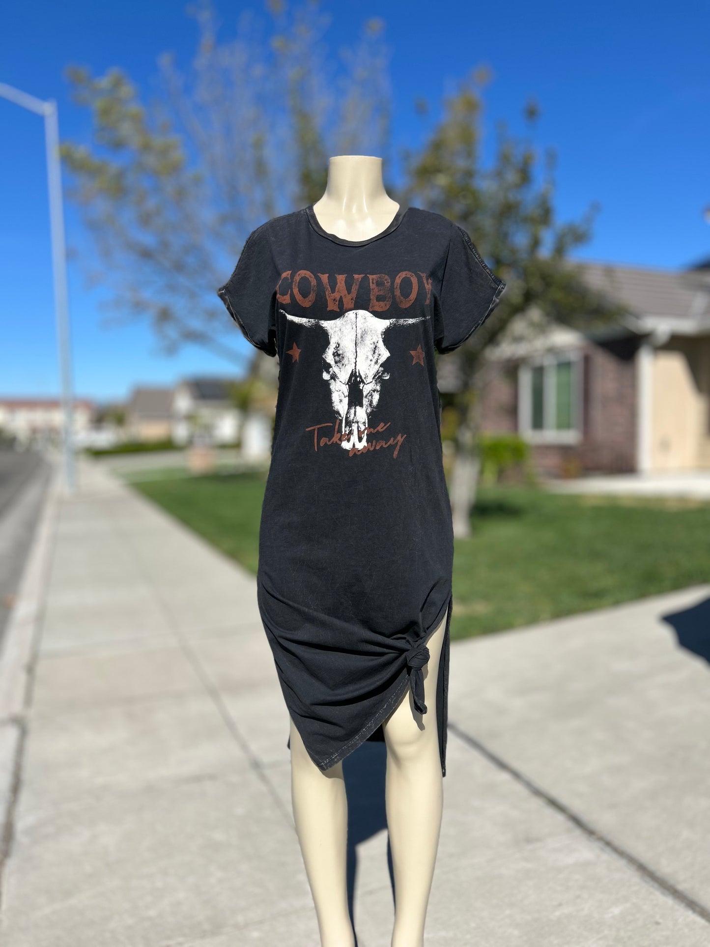 Cowboy Graphic Dress