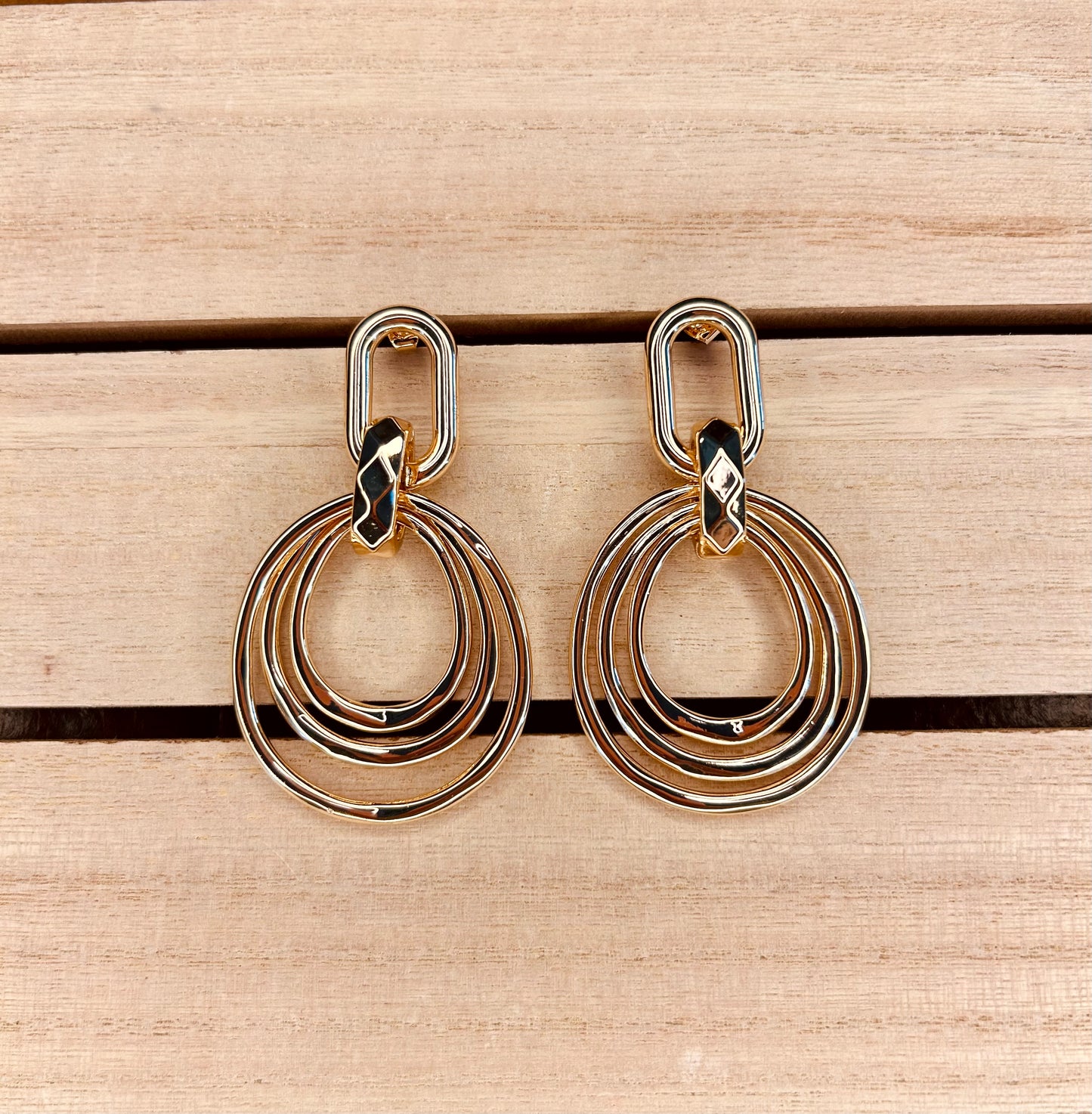 Metal Dangle Gold Dipped Earrings